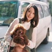 寂寞似烟花读后感合集