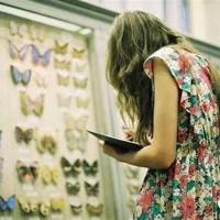 课程思政的读后感汇合