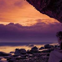 学会看病的读后感集合