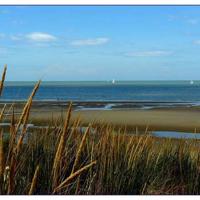 日历的来历读后感集锦