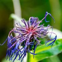 我的老师读后感50字总汇