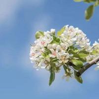 动物园奇妙夜读后感集锦