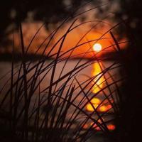 违规兼职案例读后感整理