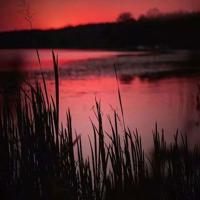 北方的河节选读后感汇集