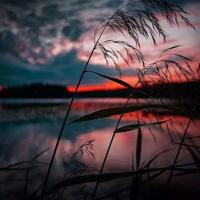 小恐龙读后感100字整理