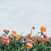 塔石读后感500字集合