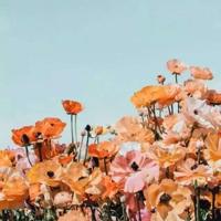 失落的世界电影读后感汇合