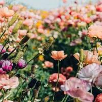 触不可及的200字读后感汇编