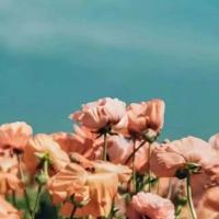 心里的眼睛读后感细选