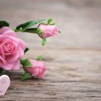 观察幼儿睡觉读后感收集