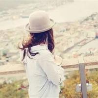 读马和马驹的读后感合集