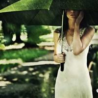 烟雨江南尘缘读后感选录