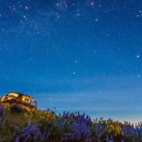 奇妙的眼科医院读后感合计