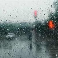 天鹅梭子和鱼和虾读后感精选