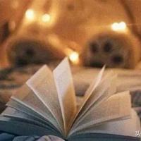 长袜子皮皮读后感400字选录