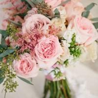 查理九世幽灵列车的读后感集合