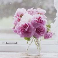 夏之雨短文150字读后感汇聚