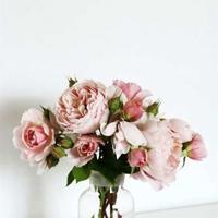 古诗立冬李白读后感总汇