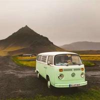 小狼小狼读后感400字锦集