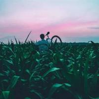 压力越来越大的原因读后感集锦