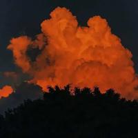 读后感20字以上的教育收集