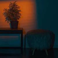 狄仁杰审虎的读后感汇集