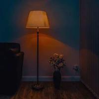 凤凰涅盘读后感50字锦集