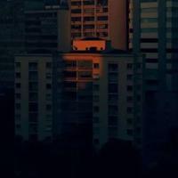 太阳鸟文章主要内容读后感合计