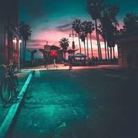 夫子庙游玩读后感集锦