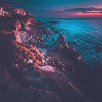 文章爱的直线读后感集合