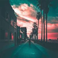 蜘蛛与雏菊读后感收集