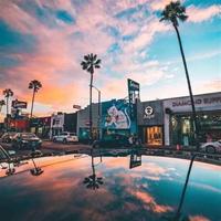 聪明的牧人读后感汇编