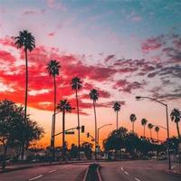 成功的境界读后感.汇集