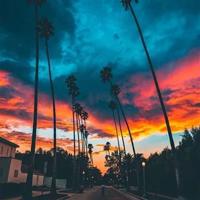 完美的橡皮擦读后感合计