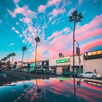 背影读后感300汇合