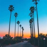 月亮飞碟的读后感聚集