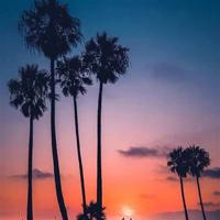 阿里巴巴大盗读后感收集