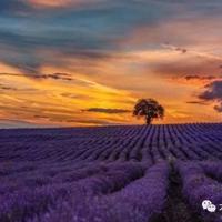 读老师您好读后感五十字锦集