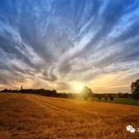 世有桃花读后感的故事聚集