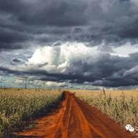 《成语漫画》的读后感总汇