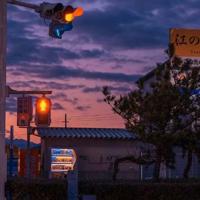 爬上豆蔓看自己读后感摘录