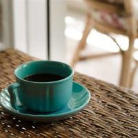 卡罗纳的读后感二百字合计