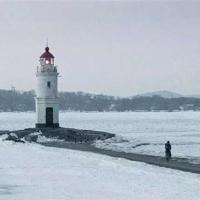 演讲的艺术外研社读后感汇总