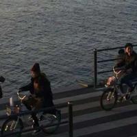 男孩子的养育书读后感摘录