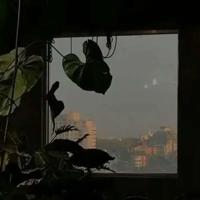 星际动物园读后感汇聚