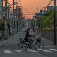 六年级上册洗脸课文读后感精选