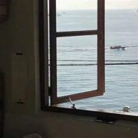 狐狸和兔子的读后感汇总