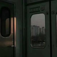 松鼠读后感500个字收集