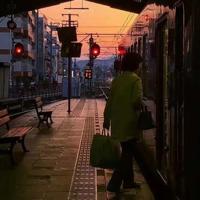 仙人掌复活读后感精选