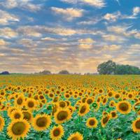 看电影的读后感300左右精选